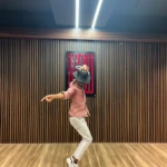 wdw-will-dance-world-2